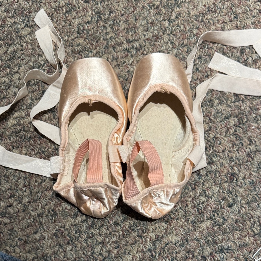 Suffolk Sonnet Pointe Shoes
